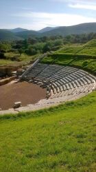 11909646_1127679387259768_383142410_n